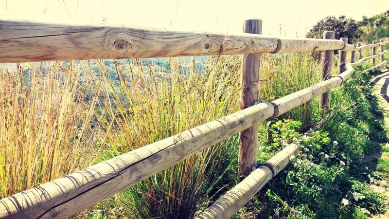 Pine Fence Installation in South Houston, TX
